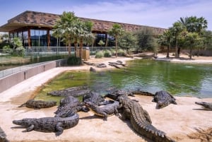 Ingresso para o Dubai Crocodile Park