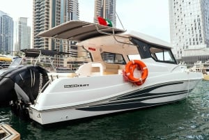 Dubai: Krydstogt i Dubai på en privat yacht