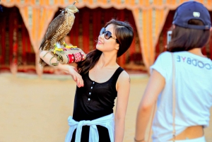 Dubai: Desert ATV Safari with BBQ Dinner in a Bedouin camp