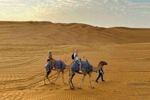 Dubai: Desert Camel Ride with Live Shows & BBQ Buffet Dinner