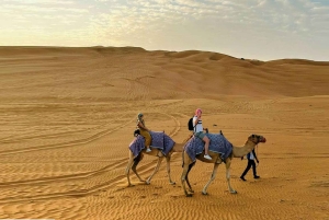 Dubai: woestijnkameelrit met liveshows en BBQ-buffetdiner