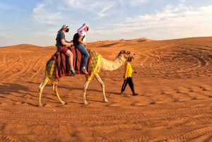 Dubai: woestijnkameelrit met liveshows en BBQ-buffetdiner