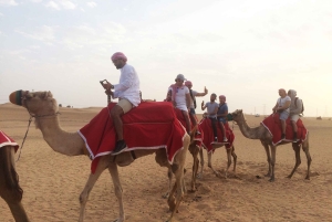 Dubai: woestijnkameelrit met liveshows en BBQ-buffetdiner