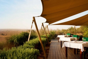 Dubai: Desert Conservation Reserve Tour with Breakfast