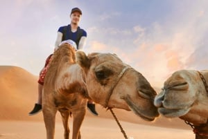 Dubai: Lahbab Desert Red Dunes Safari, Camels & BBQ Options