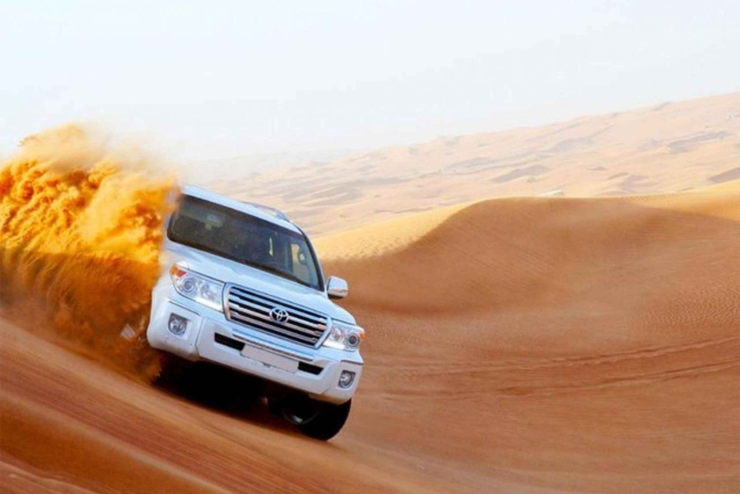 Dubai: Desert Dune Safari, Camel Ride, Shows & Dinner