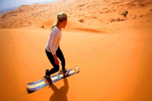 Dubaï : Safaris dans les dunes du désert, chameau, planche à sable, barbecue et spectacles