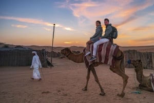 Dubai Desert Journey: Red Dune Safari w/ BBQ in Bedouin Camp