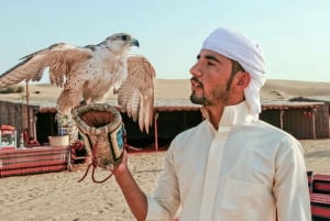 Dubai Desert Journey: Red Dune Safari w/ BBQ in Bedouin Camp