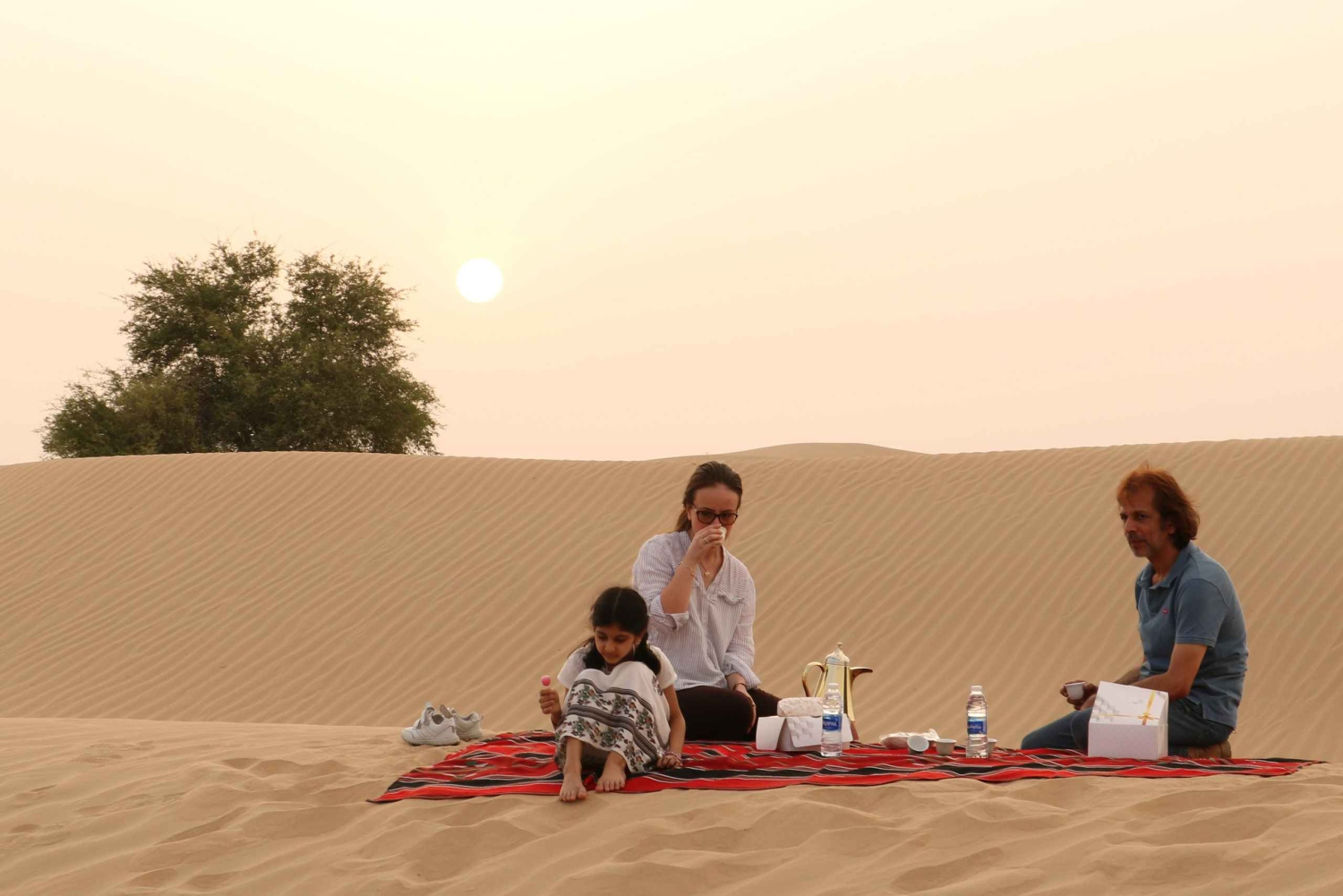 Escursione mattutina nel deserto di Dubai con esperienza nella fauna selvatica