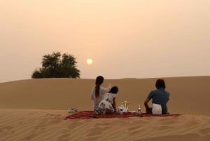 Dubai Desert Morning Drive with Wildlife Experience