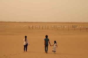 Escursione mattutina nel deserto di Dubai con esperienza nella fauna selvatica