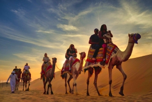 Dubai Desert Safari & Al Khayma Camp Luxury Tent Experience