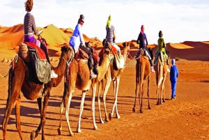 Dubai: Desert Safari, BBQ, Shows, Camel Ride & Sand Boarding