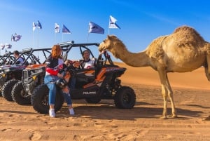 Dubai: Safári no deserto, passeio de camelo, passeio de quadriciclo e espetáculos hipnotizantes