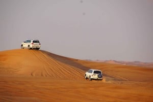 Dubai: Safári no deserto, passeio de camelo, passeio de quadriciclo e espetáculos hipnotizantes