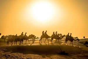 Dubai: Ökensafari, kamelritt, arabisk häst och BBQ-middag