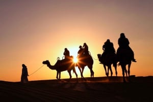 Dubai: Aavikkosafari, kameliratsastus, arabialainen hevonen ja BBQ-illallinen.