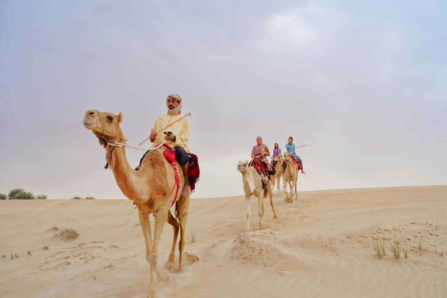 ドバイ砂漠サファリ、ラクダ乗り、サンドボード、ビュッフェディナー