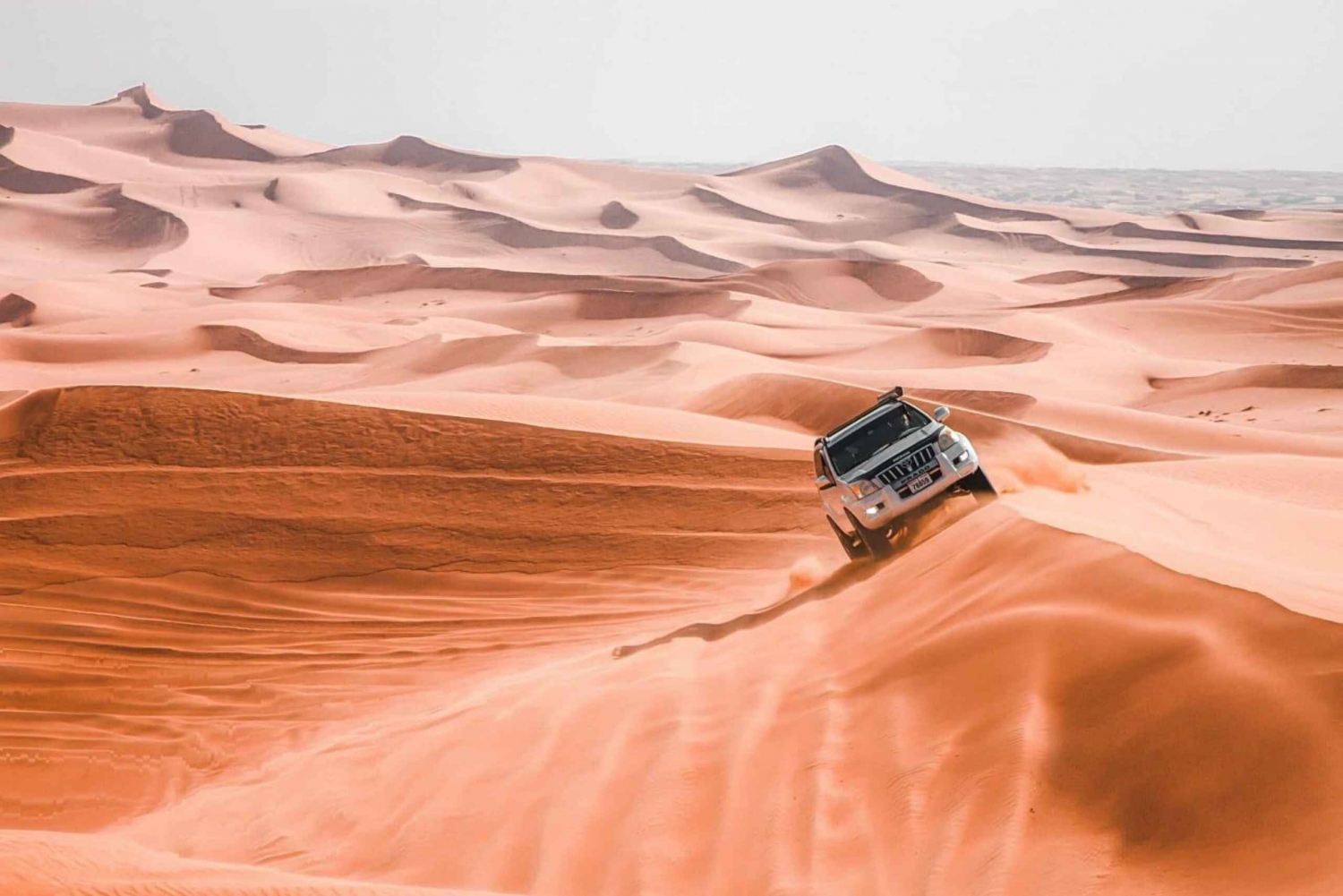 Dubai: Woestijnsafari kamelenrit, sandboard & buffet diner
