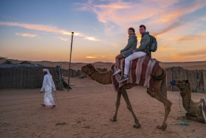 Safari nel deserto di Dubai - Cena BBQ premium, giro in cammello e spettacoli