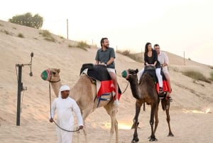 Dubai Desert Safari: Quad, Buggy Ride, Fort Lisaili & Evenement