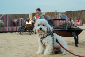 Dubai Desert Safari: Quad, Buggy Ride, Fort Lisaili & Evenement