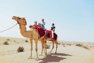 Dubai: Red Dune Safari, Camel Ride, Sandboarding, and Dinner