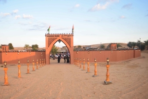 Dubai: Wüstensafari mit BBQ-Abendessen in einem Beduinencamp