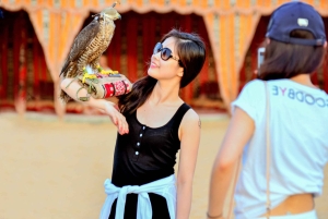 Dubai: Wüstensafari mit BBQ-Abendessen in einem Beduinencamp