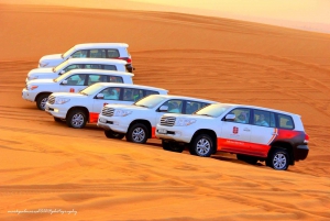 Dubai Desert Safari with Burj Khalifa (Ticket Only)