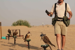 Safari dans le désert de Dubaï avec Burj Khalifa (billet uniquement)