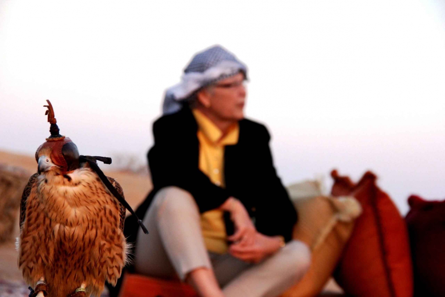 Dubai: Desert Safari with Camel Ride