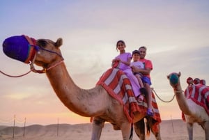 Dubai: Safari por el desierto con campamento, cena y pernoctación opcional