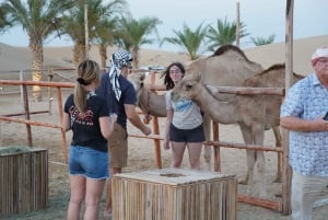 Dubai: Ørkensafari med lejr, middag og valgfri overnatning