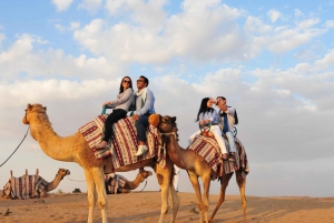 Dubai: Aavikkosafari illallisella, kameliratsastuksella ja hiekkalautailulla.