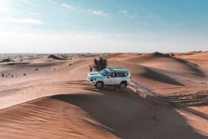 Dubai: Ørkensafari med middag, kamelridning og sandboarding