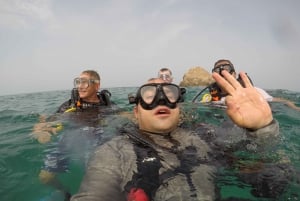 Dubaï : Découvrez la plongée sous-marine