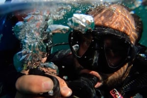 Dubaï : Découvrez la plongée sous-marine