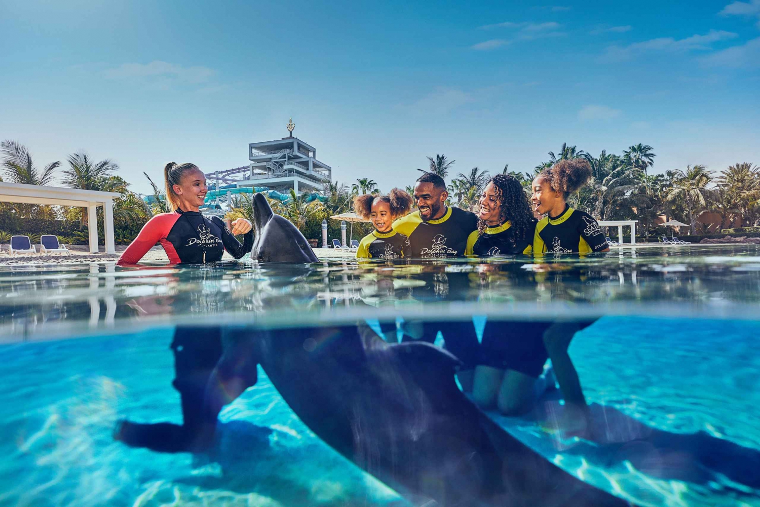 Dubai: Billett til Dolphin Encounter og Aquaventure Waterpark