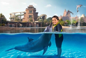 Dubaj: Bilet na spotkanie z delfinami i do parku wodnego Aquaventure