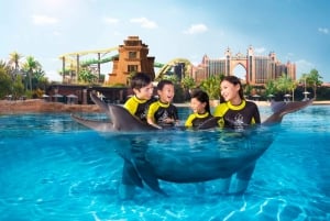 Dubai: Aquaventure Waterpark Ticket: Dolphin Encounter & Aquaventure Waterpark Ticket