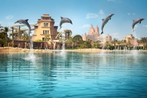 Dubai: Biglietto per l'incontro con i delfini e il parco acquatico Aquaventure