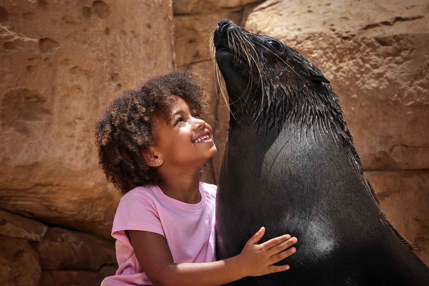 Dubai: Dolphin & Sea Lion Photo Fun at Atlantis