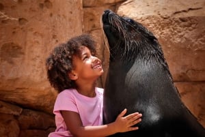 Dubai: Diversão com fotos de golfinhos e leões-marinhos no Atlantis