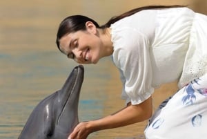 Dubai: Fotokul med delfiner och sjölejon på Atlantis