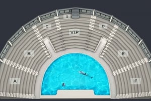 Dubai: Dolphinarium Entry Ticket