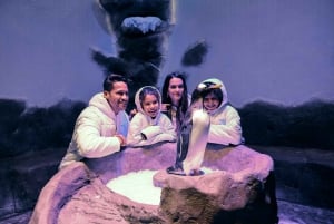 Dubai Aquarium and Underwater Zoo Ultimate Experience