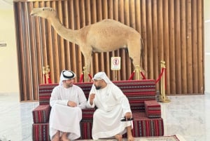 Dubai Royal Camel Race mit erstklassigen Sitzplätzen und kurzem Kamelritt