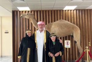Dubai Royal Camel Race com assentos privilegiados e passeio curto de camelo